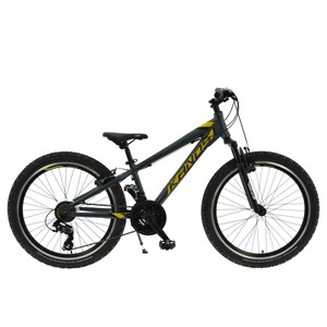 ROWER KANDS 24 MASTER DUAL GRAFIT/ŻÓŁTY 12