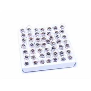 Żarówka tył 6V/0,6 W tył/ opk.=50 szt/